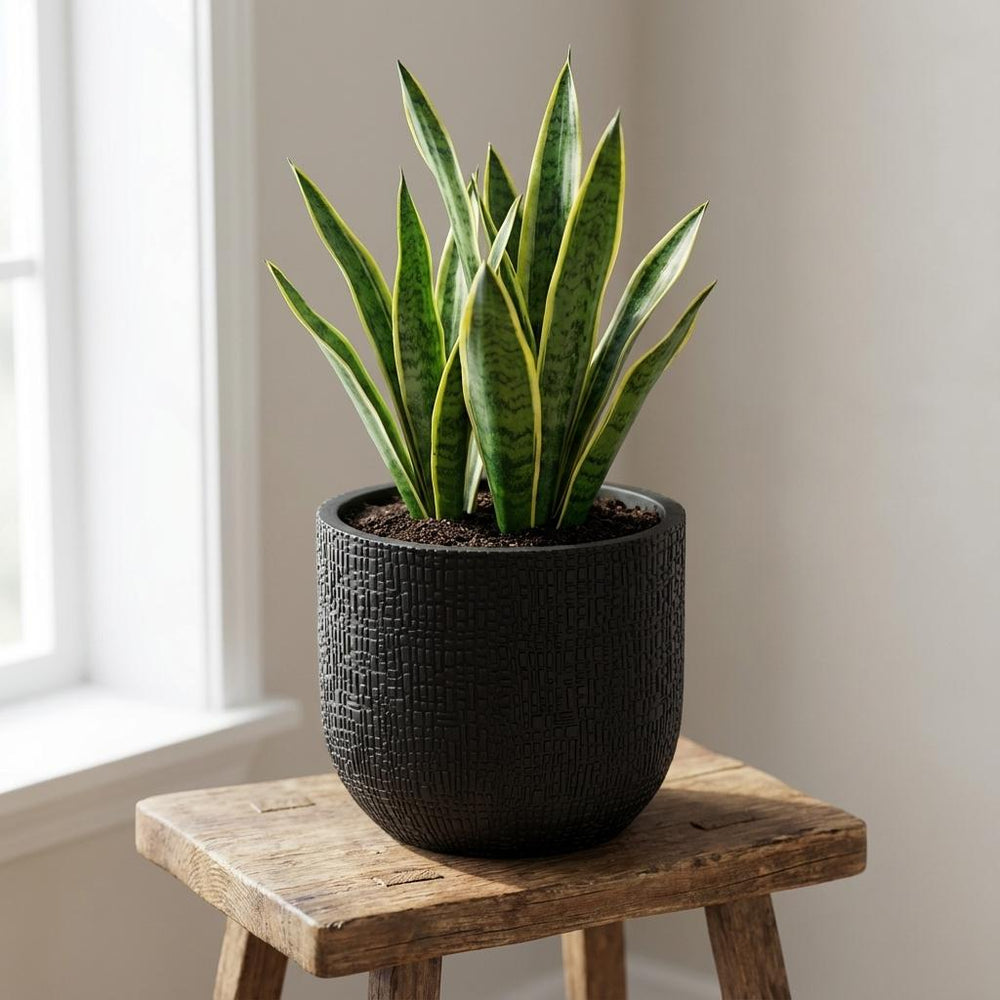 Bol Skin Anthrazit – Ø14cm