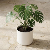 Elho B.for Soft Weiß – Ø14cm