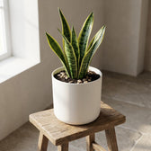 Elho B.for Soft Weiß – Ø25cm