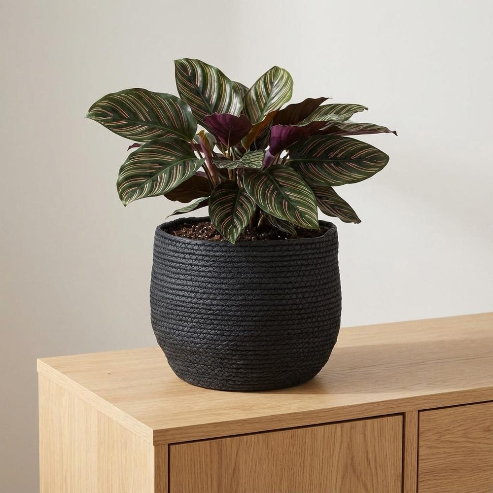 Korb Jorck Schwarz – Ø26cm