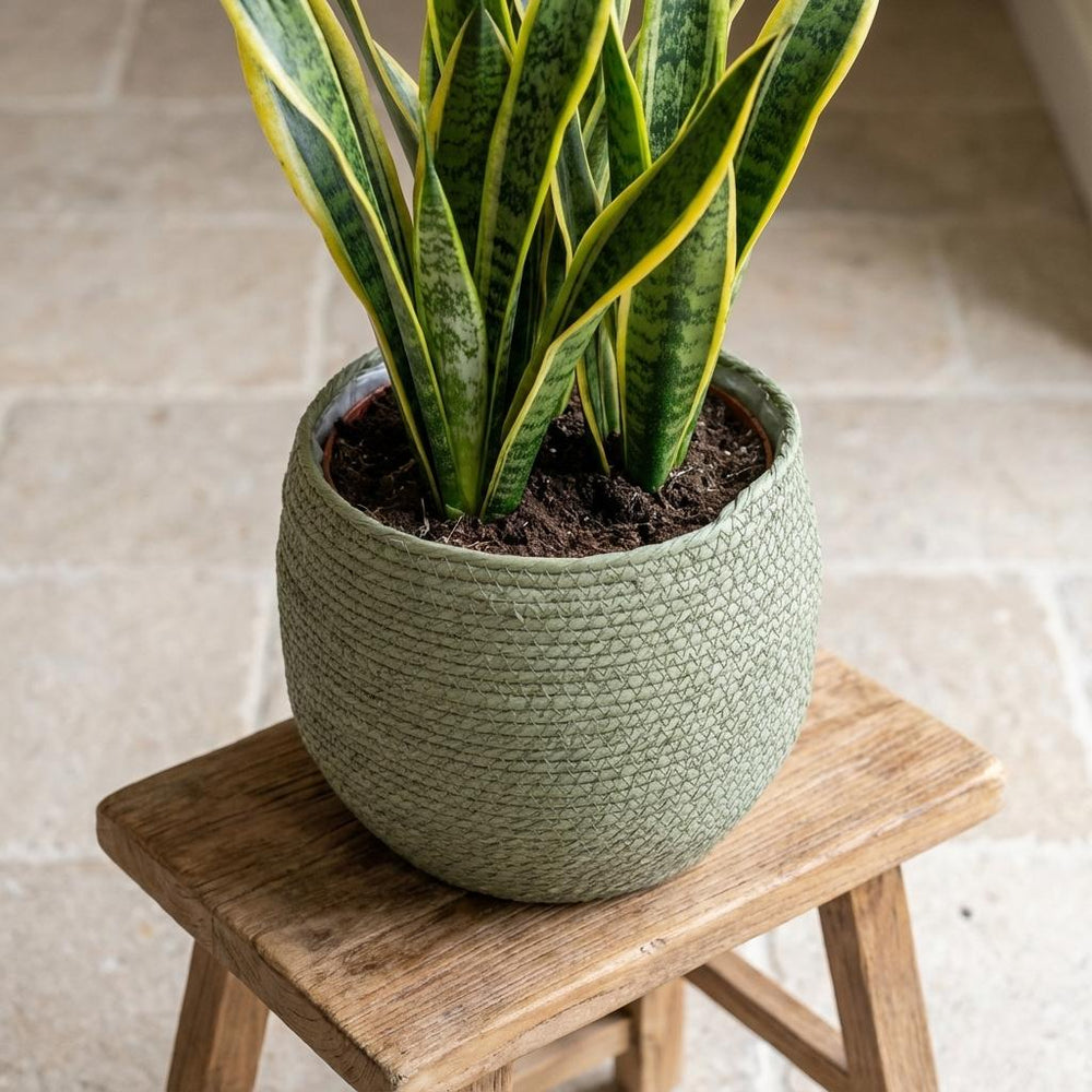 Korb Jorck Grün – Ø26cm