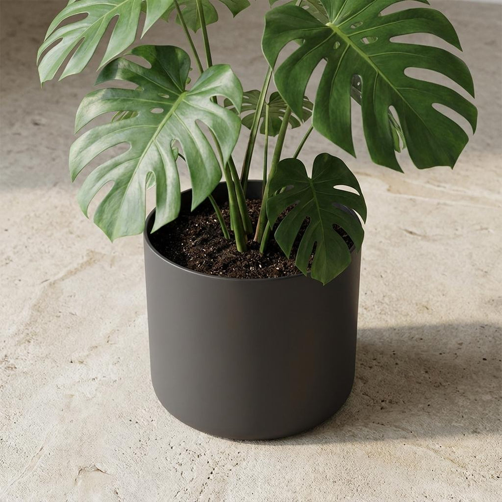 Elho B.for Soft Anthrazit – Ø35cm