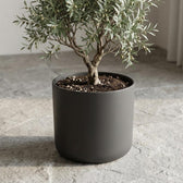 Elho B.for Soft Anthrazit – Ø35cm