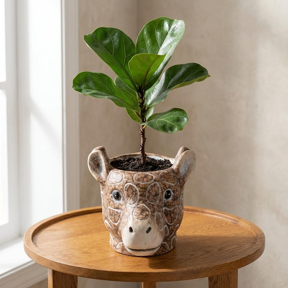 Übertopf Giraffe Braun – Ø14cm