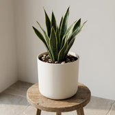 Elho B.for Soft Weiß – Ø16cm