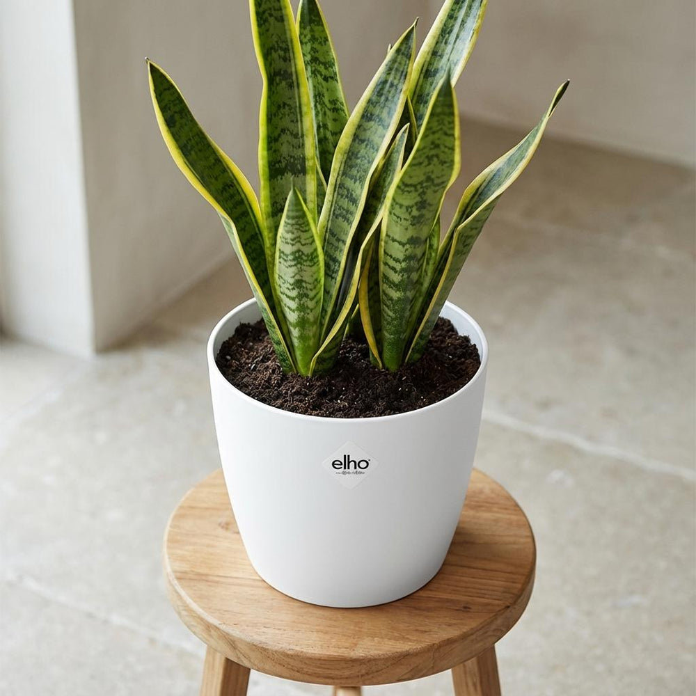 Elho Brussels Weiß – Ø18cm