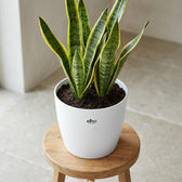 Elho Brussels Weiß – Ø18cm