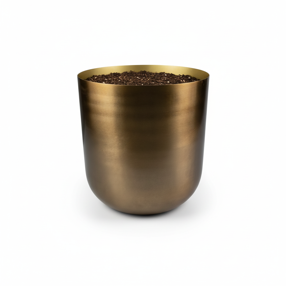 Mayk Gold