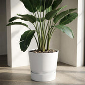 Elho Greenville Weiß – Ø20cm