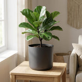 Elho B.for Soft Anthrazit – Ø22cm
