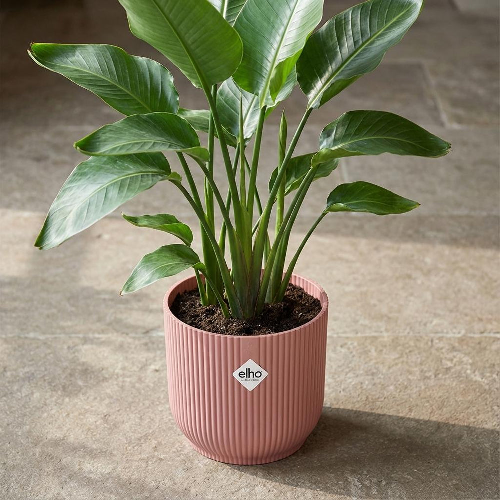 Elho Vibes Fold Rosa – Ø14cm