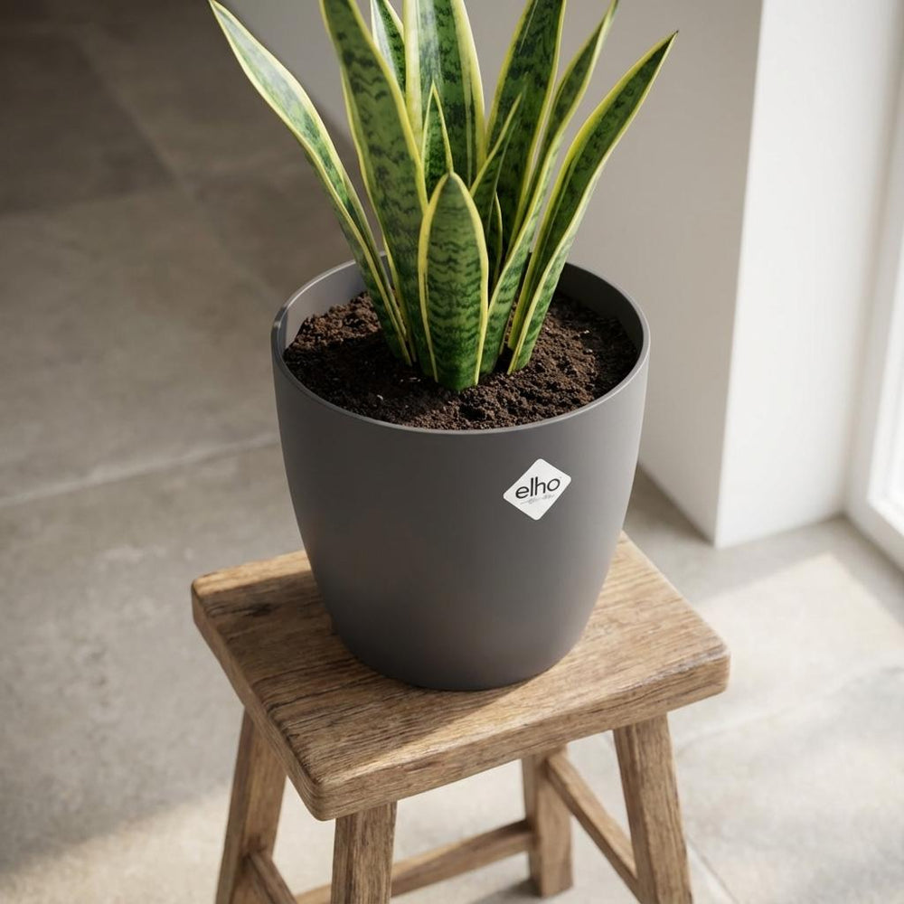 Elho Brussels Anthrazit – Ø25cm