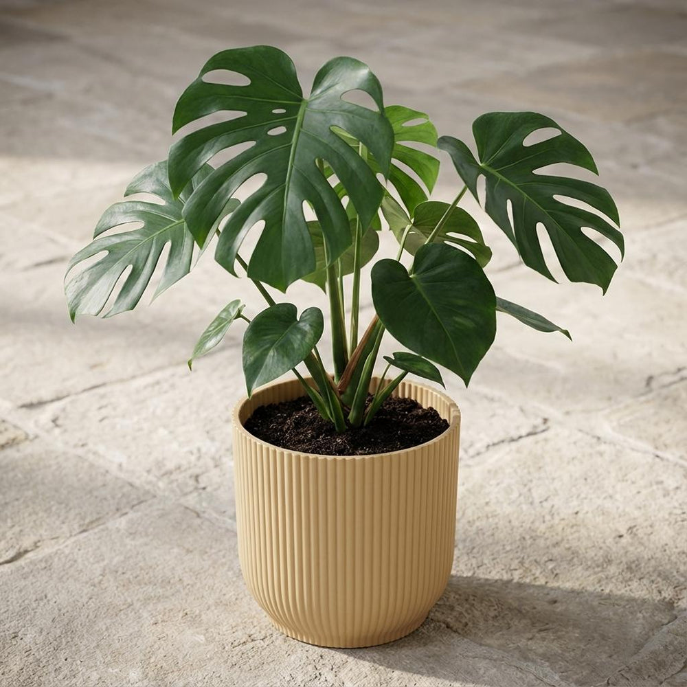 Elho Vibes Fold Gelb – Ø18cm