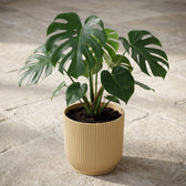 Elho Vibes Fold Gelb – Ø18cm