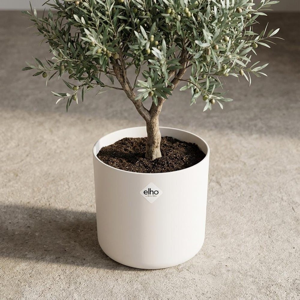Elho B.for Soft Weiß – Ø30cm