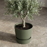 Elho Greenville Grün – Ø25cm