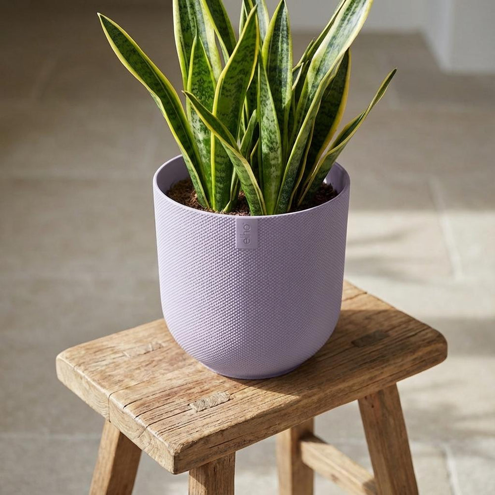 Elho Jazz Lavendel – Ø19cm