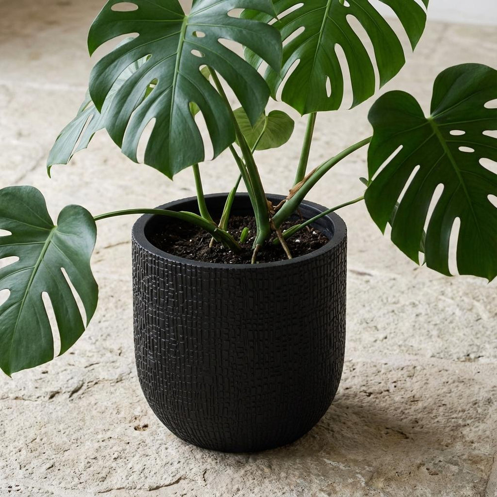 Bol Skin Anthrazit – Ø24cm