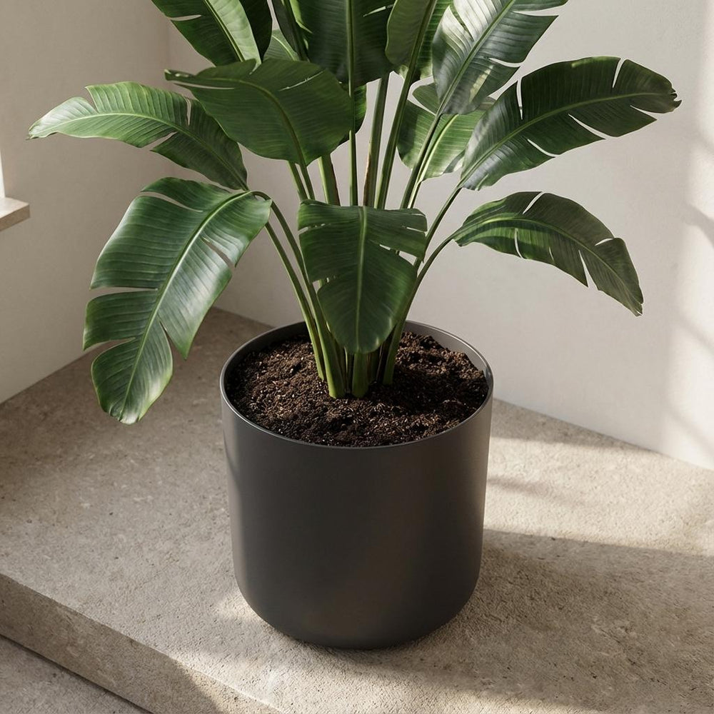 Elho B.for Soft Anthrazit – Ø14cm