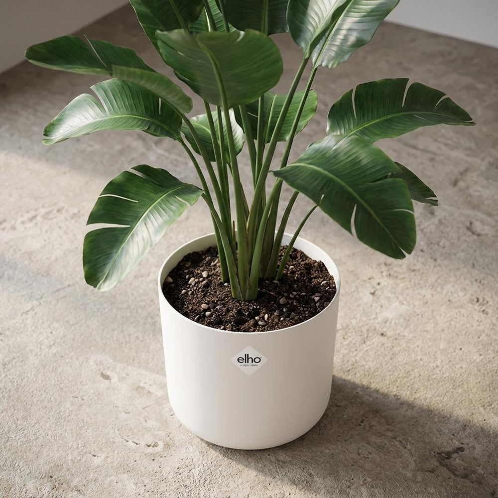 Elho B.for Soft Weiß – Ø30cm