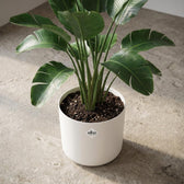 Elho B.for Soft Weiß – Ø30cm