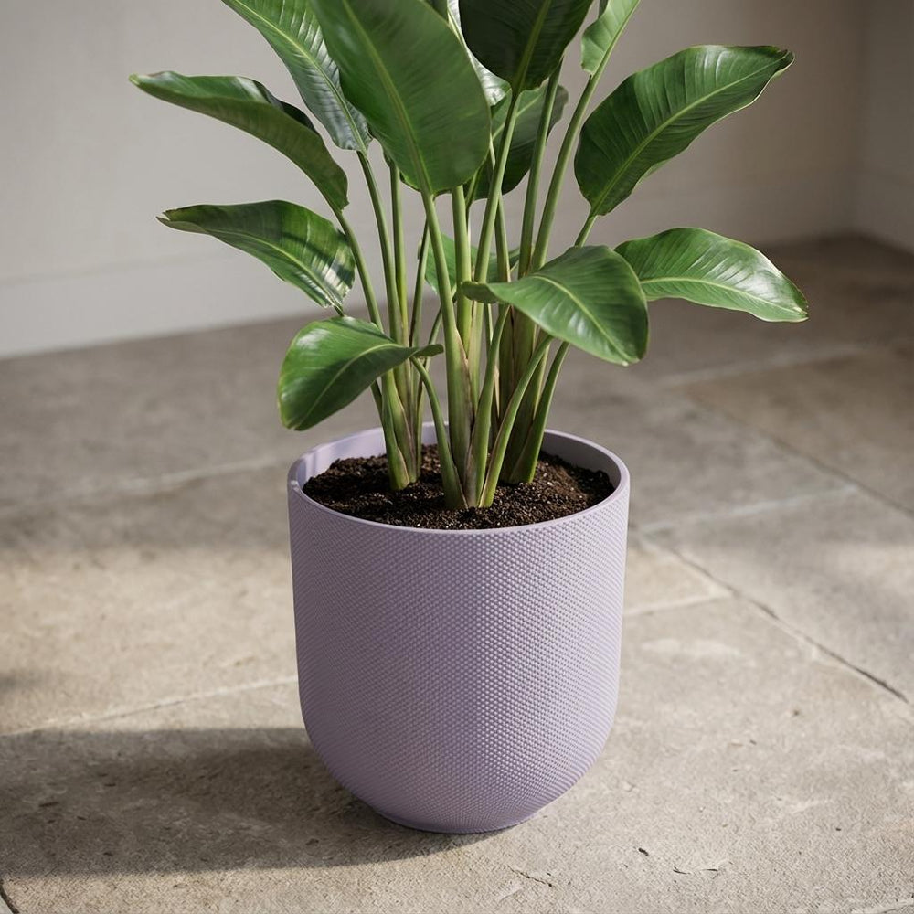 Elho Jazz Lavendel – Ø14cm