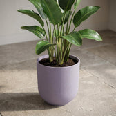 Elho Jazz Lavendel – Ø14cm