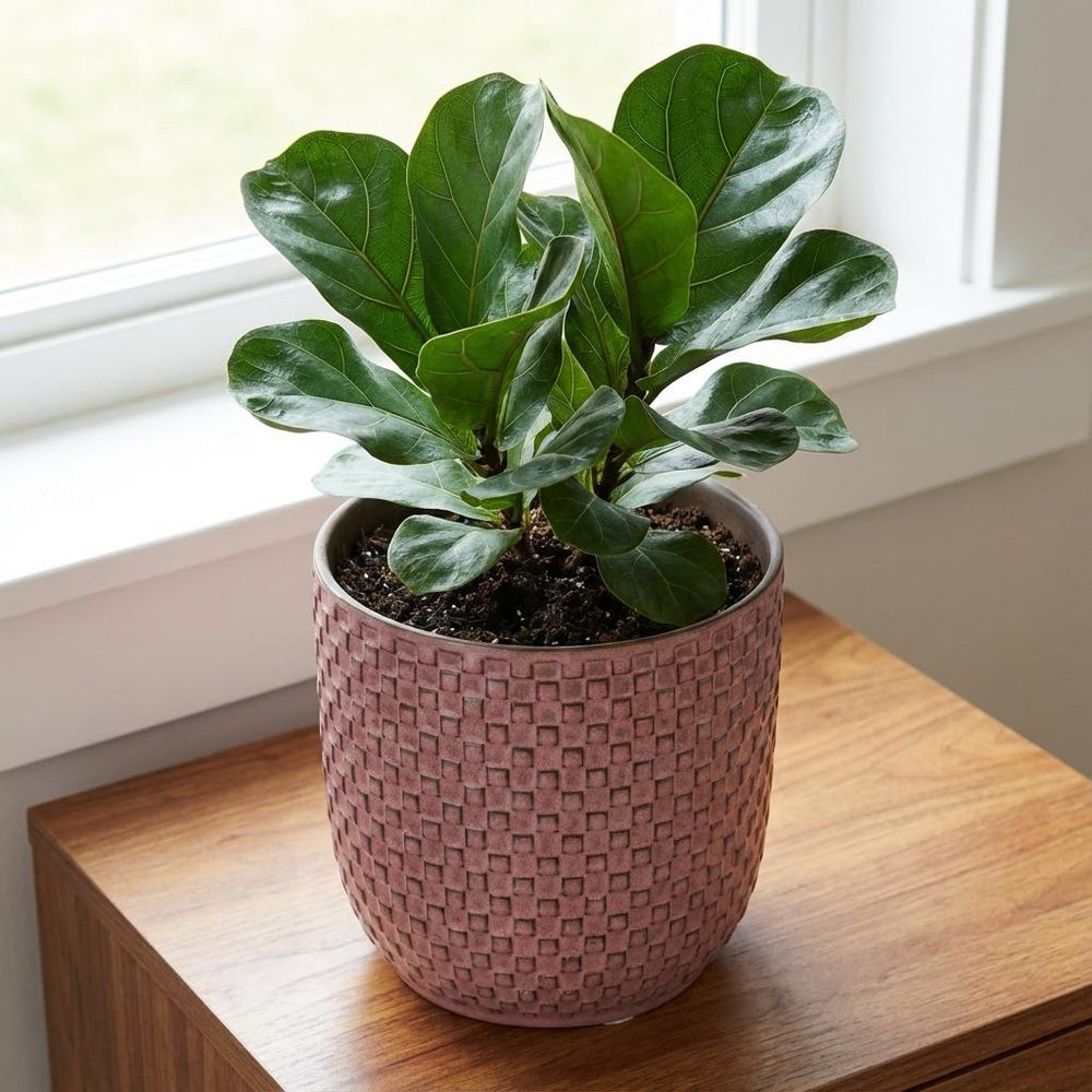 Topf Relief Rosa – Ø13,5cm