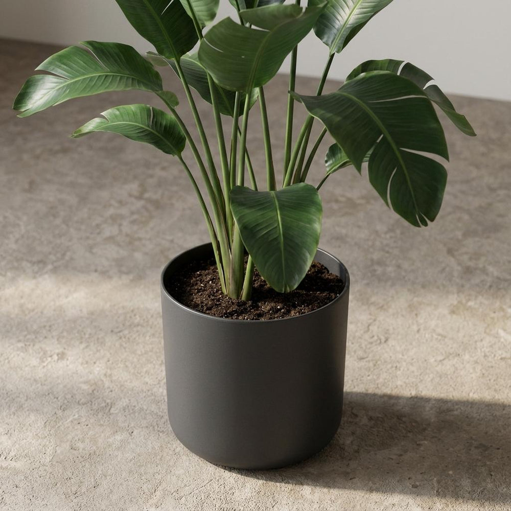 Elho B.for Soft Anthrazit – Ø18cm