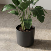 Elho B.for Soft Anthrazit – Ø18cm