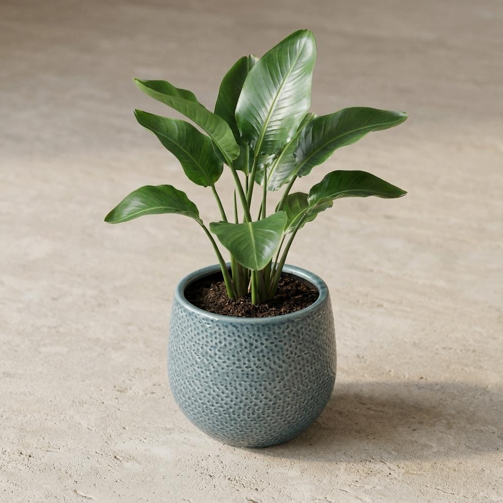 Gabriel Blau – Ø14cm