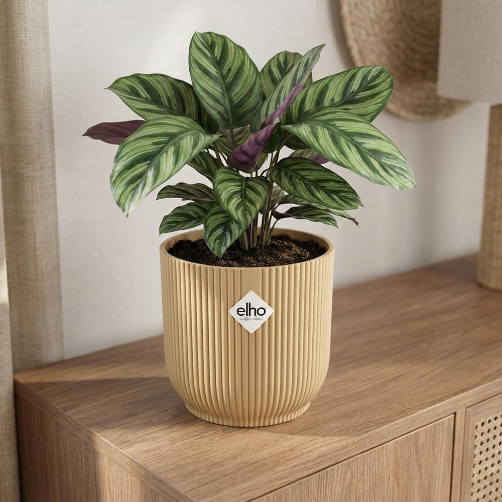 Elho Vibes Fold Gelb – Ø22cm