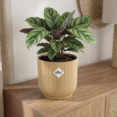 Elho Vibes Fold Gelb – Ø22cm