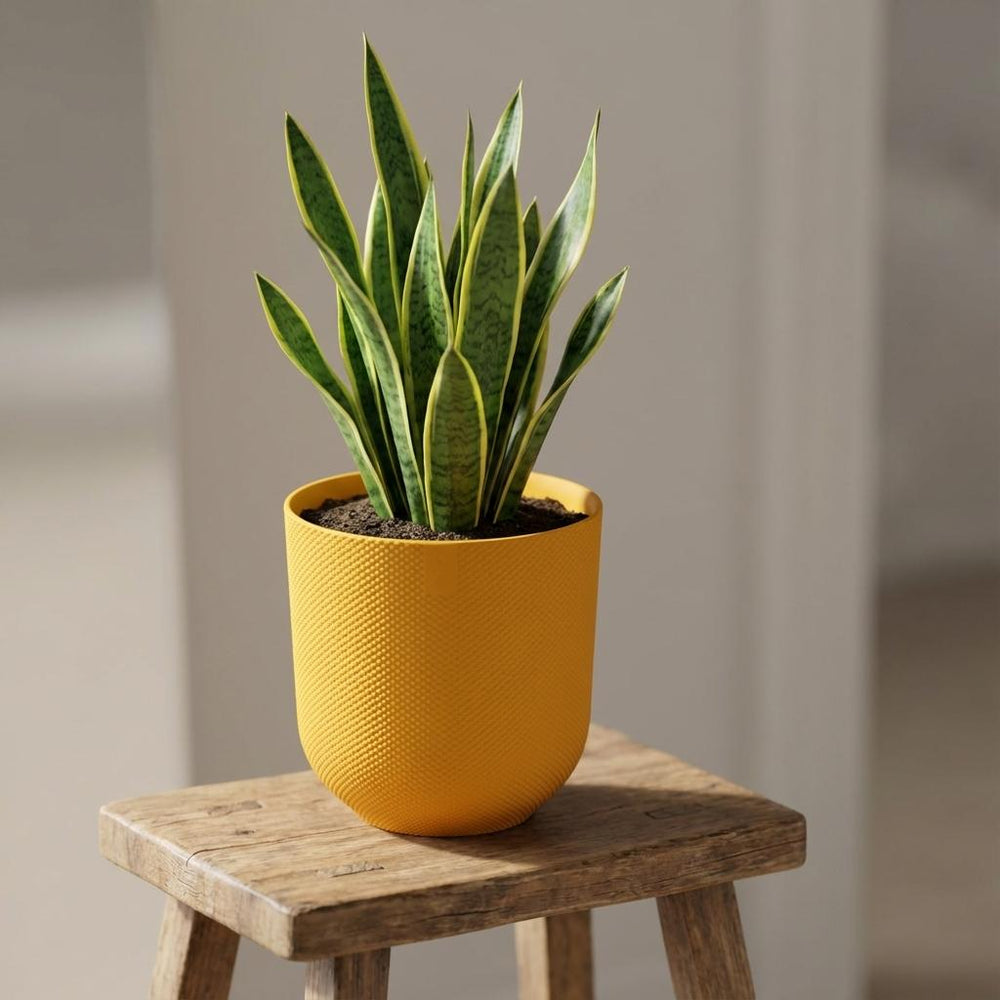 Elho Jazz Bernsteingelb – Ø23cm