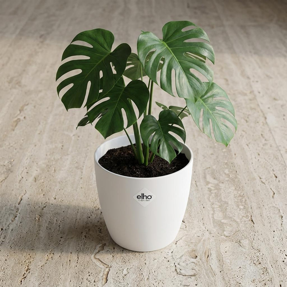 Elho Brussels Weiß – Ø18cm