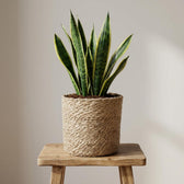 Korb Natur – Ø14cm