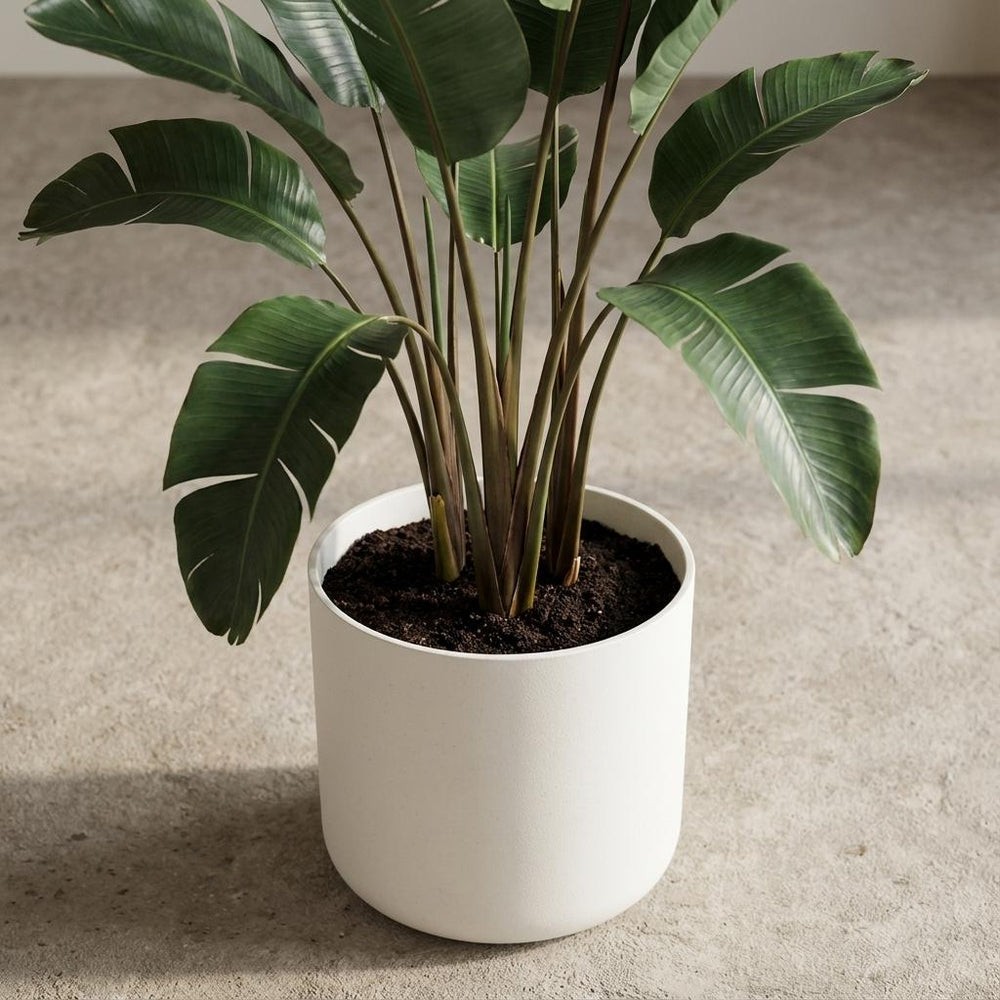 Elho B.for Soft Weiß – Ø16cm