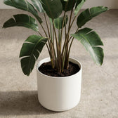 Elho B.for Soft Weiß – Ø16cm