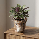 Übertopf Giraffe Braun – Ø14cm