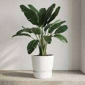Elho Greenville Weiß – Ø30cm