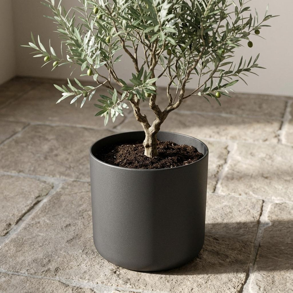 Elho B.for Soft Anthrazit – Ø25cm