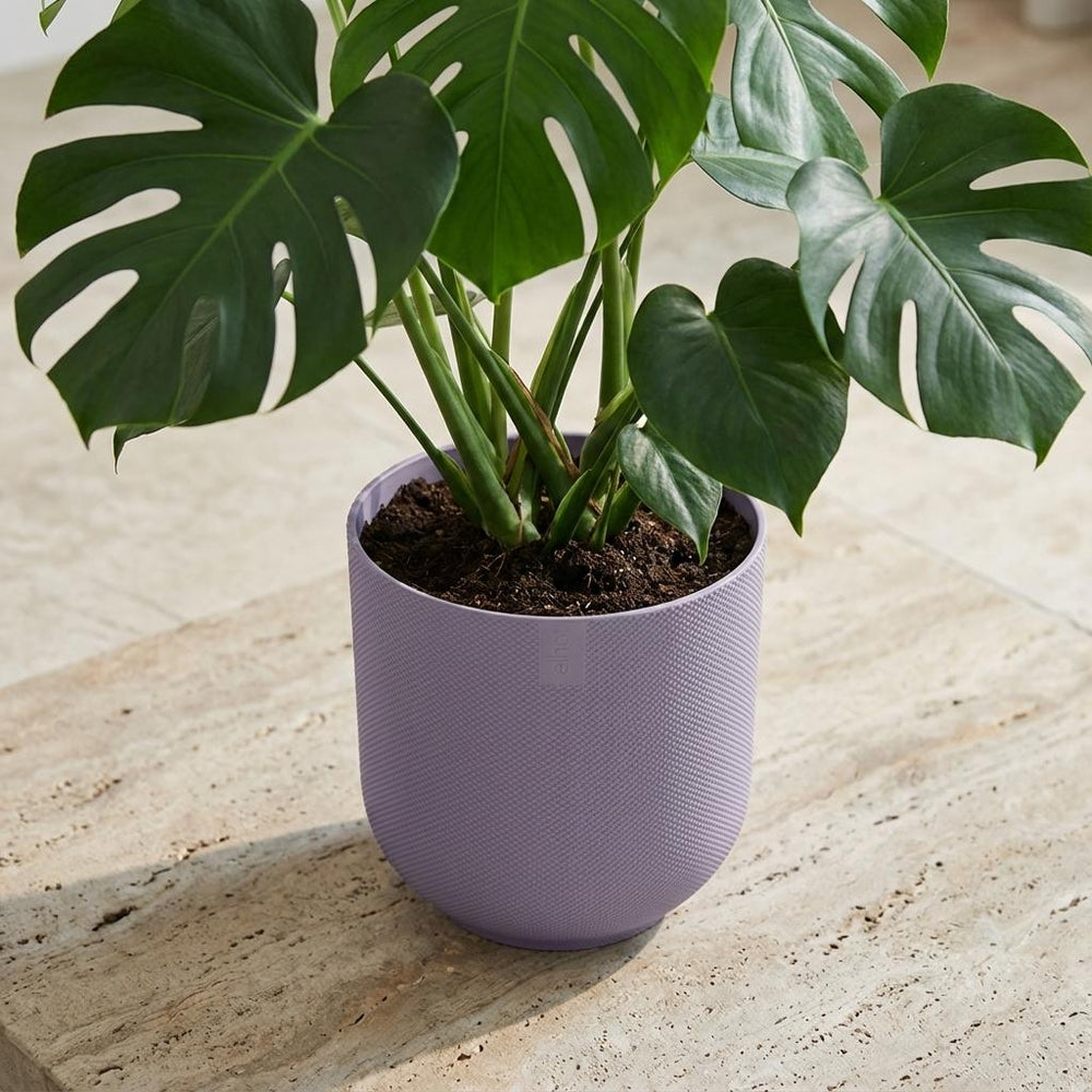 Elho Jazz Lavendel – Ø23cm