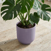 Elho Jazz Lavendel – Ø23cm