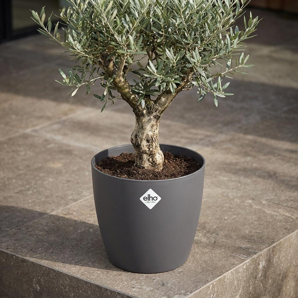 Elho Brussels Anthrazit – Ø30cm