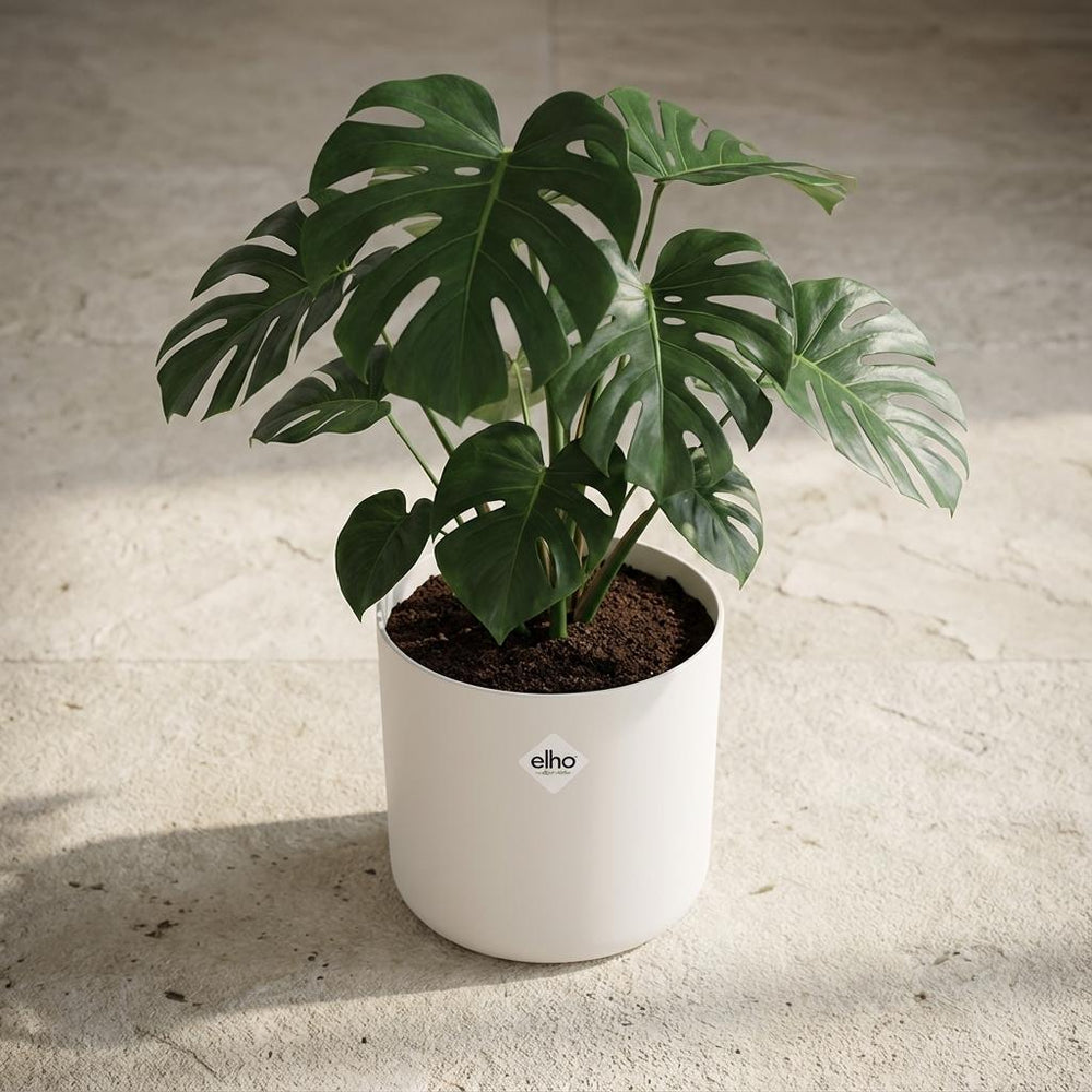 Elho B.for Soft Weiß – Ø30cm