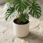 Elho B.for Soft Weiß Rund – Ø25cm