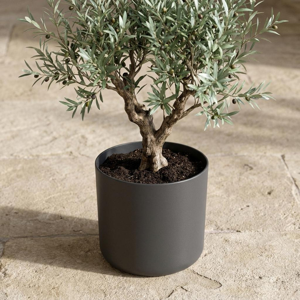Elho B.for Soft Anthrazit – Ø18cm