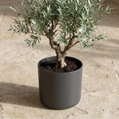 Elho B.for Soft Anthrazit – Ø18cm