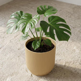 Elho Vibes Fold Gelb – Ø14cm