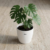 Elho Brussels Weiß – Ø18cm
